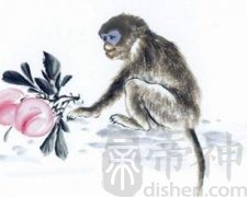 生肖猴正月初一春节出生的人是什么命？属猴春节出生好不好？