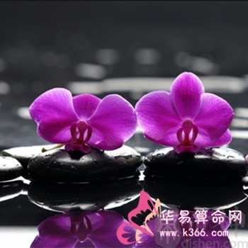 属鼠的人有哪些不为人知的秘密？