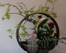 属鼠双鱼座女生的性格特点