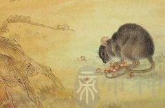 2020年属鼠人出生时间与命运预测，出生时辰决定命运