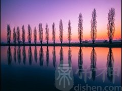 农历8月出生属鼠人命好吗
