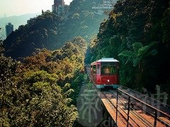 农历2月出生属鼠人命好吗