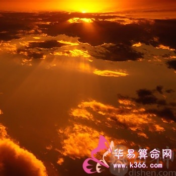 属鼠的人最致命的缺点是什么