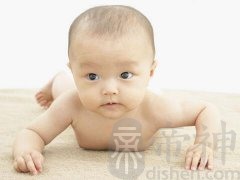属鼠生狗宝宝好吗