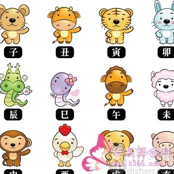 属鼠的人格能从什么花中看出来