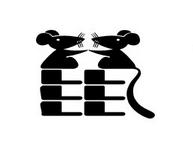 生肖鼠的创业大运解析