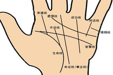 九大财富纹你有么？