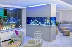 办公室养什么鱼的风水好？十二生肖养金鱼有什么讲究？