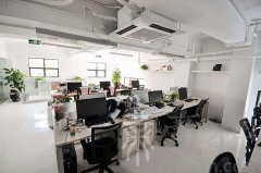 风水植物应该摆放在办公室什么位置？选择植物有哪些讲究？