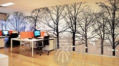 办公室有蜘蛛网会影响风水？怎样的办公室会影响员工的健康？