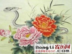 属蛇人2018年2月份运势详解