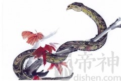 65年属蛇晚年运势详解，各方面都有哪些收获