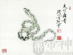 辰时出生的属蛇人命运如何（7:00-9:00）