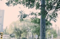 2018年属猴的人事业运好不好？几月事业运最好？