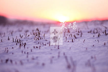生肖猴小雪养生开运指南