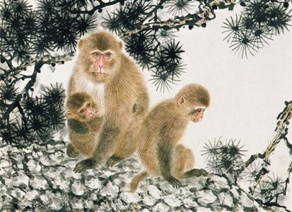 滴天居士2017年8月生肖猴运势