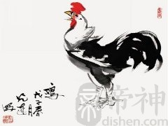 未时出生的属鸡人命运如何（13:00-15:00）