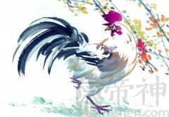 1981年属鸡的人2019年运势大全及破解