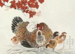 属鸡的人一生中的贵人是谁？