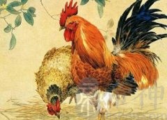 2017年出生属鸡人的天乙贵人是谁？