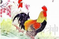 生肖鸡的事业贵人是什么生肖？