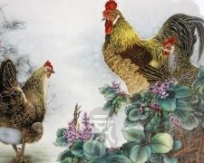 属鸡人的事业贵人是属什么的？属鸡人的天乙贵人