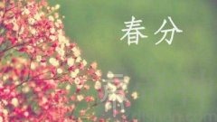 春分节气出生的属鸡人命运好吗，是什么命？