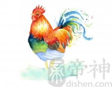 生肖鸡的贵人是谁？属什么生肖？