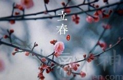 2月4日立春出生的属鸡宝宝是什么命，一生运势好不好？