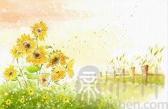 2019年年底前属鸡的人适合换工作吗？开运方位在哪？