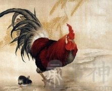 属鸡之人的六合贵人是谁？什么生肖？