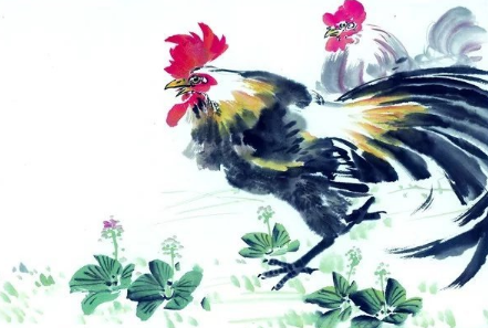 生肖鸡什么年龄段有可能一夜暴富