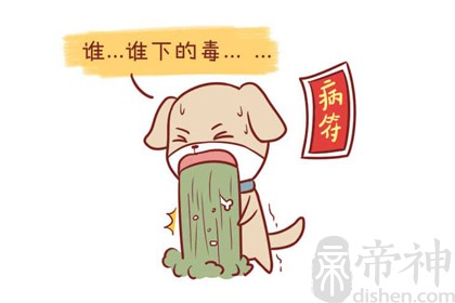 2020年里属狗男财运怎么样