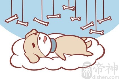 生肖狗是什么性格特点？为人直率，待人真诚！