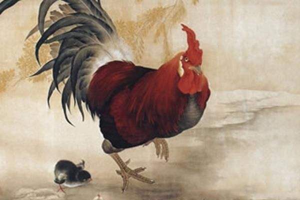 属鸡人2020年运势最不好的月份盘点