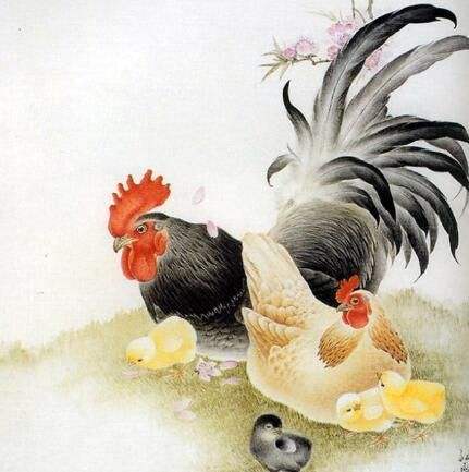 2020鼠年属鸡人的十月运势如何？