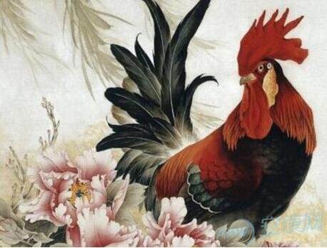 1957年出生的属鸡人2019年的财运好吗？