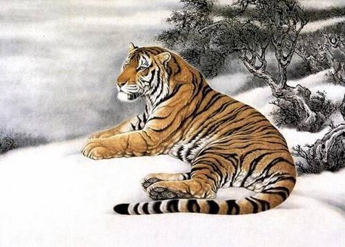 属虎人2020年二月的运势好不好？