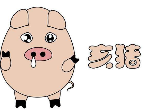 25岁的生肖猪在2020年的整体运势怎么样？好不好？