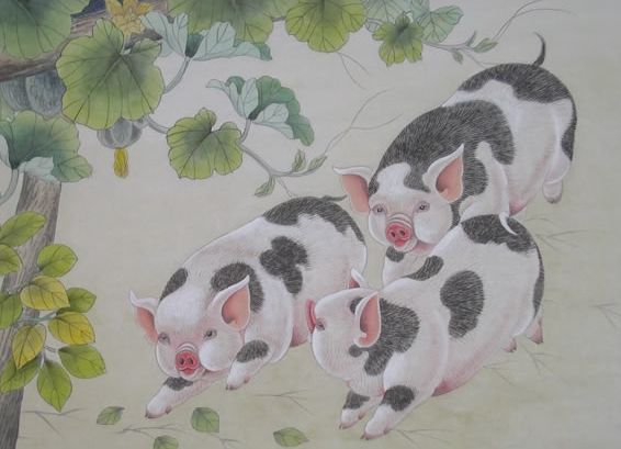 2020年农历八月的生肖猪的运势好吗？运势分析大全