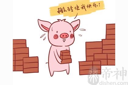 2007年出生属猪的是什么命，富贵命吗？