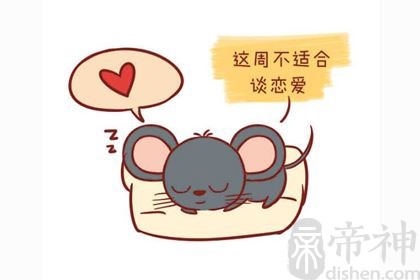 1984年属鼠的2019年运程一般，容易破财！