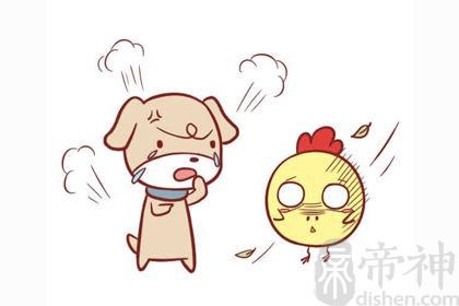 1981年出生属鸡的人是什么命，劳苦命吗？
