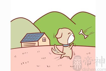 1982年属狗的人是什么命？命有贵人运！