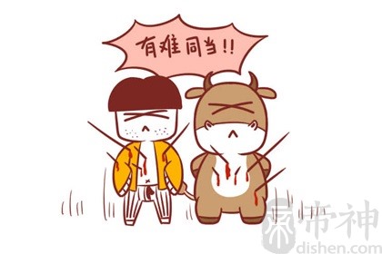1997年出生的属牛人2019年多少岁，今年整体运势如何？