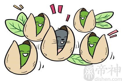 十二生肖的本命年怎么查，哪一年是自己的本命年？