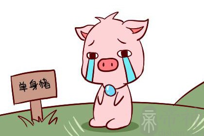 属猪本命年的注意事项，关注人际关系提防小人？
