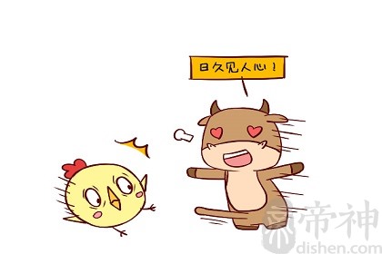 属牛本命年的注意事项，生肖牛本命年如何化解太岁？