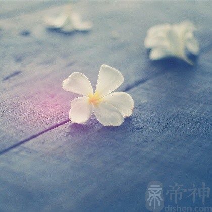 12生肖男永远不会告诉你的真心话