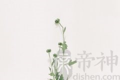 书房在哪个方位风水好？书房的风水有什么讲究？